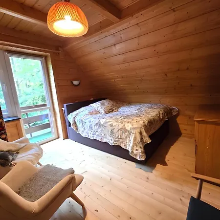 Vakantiehuis Dom W Sidzinie Z Basenem 12 Osobowy Sidzina
