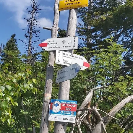 Dom W Sidzinie Z Basenem 12 Osobowy Vakantiehuis *